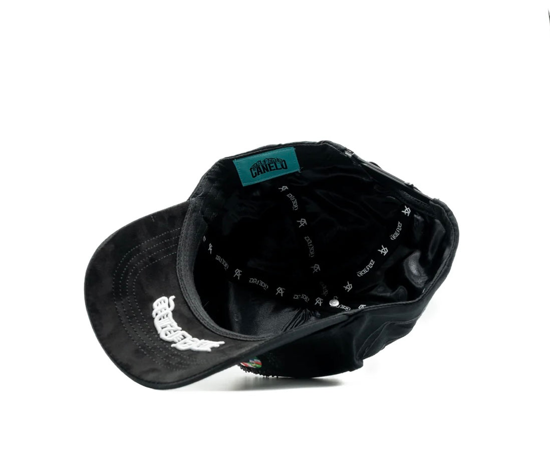 Dandy UNDISPUTED (canelo)